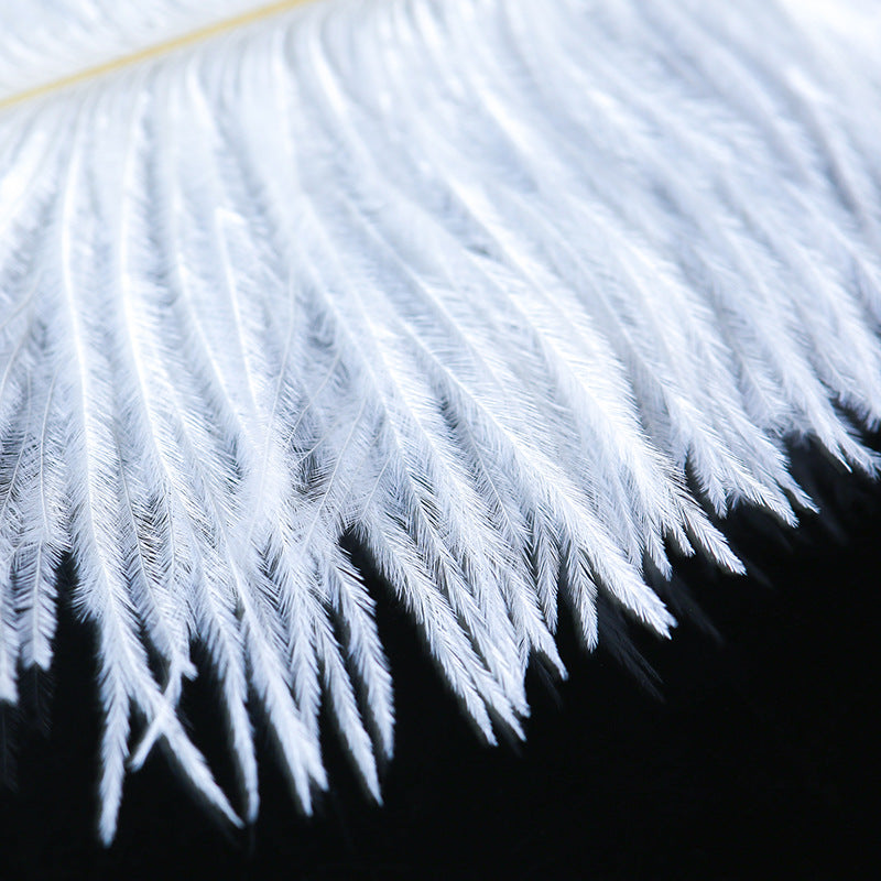 Image of Erotic feather tease stick ostrich feather shoot flirt feather brush sm supplies foreplay toys sex toys adult sex